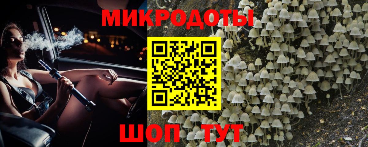 Псилоцибиновые грибы Psilocybe Кемерово